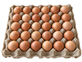 The Catering Box — 180 Eggs