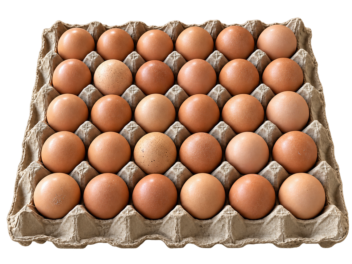 The Catering Box — 180 Eggs